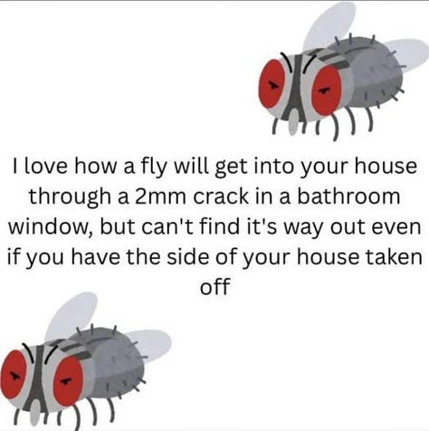 The Best of America & Around the World!