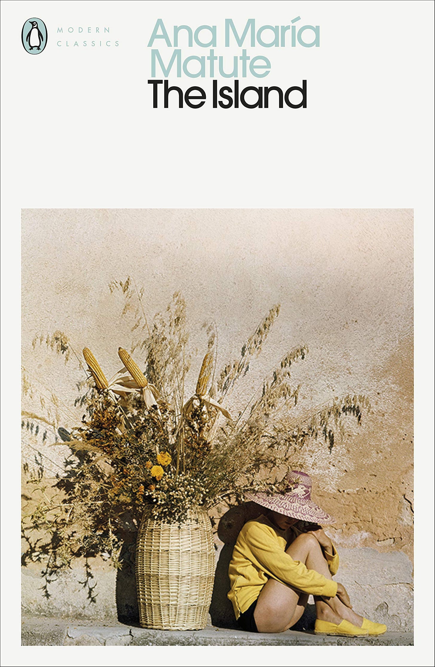 The Island (Penguin Modern Classics): Amazon.co.uk: Matute, Ana María,  Lonsdale, Laura: 9780241374283: Books