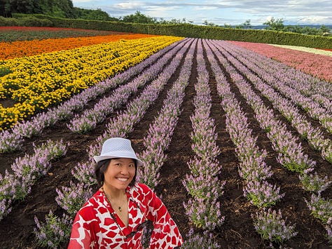 Farm Tomita, furano, Hokkaido, Japan