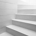 The Hidden Order Behind Language Development