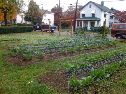 Diverse families--African American, Burmese. Latina, and white--in a Charlottesville, VA, community garden.