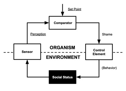 A diagram of an organism

AI-generated content may be incorrect.