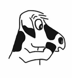 No photo description available.