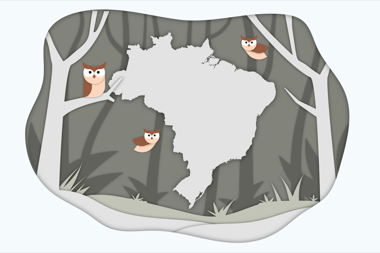 The artwork for Socratica Português. It's a forest scene, with trees, owls, and a map of Brazil. 