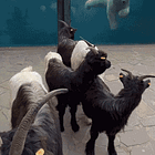 Nice Times Are Bigger In Texas: Tabs, Mon., Feb. 2, 2026