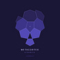 MetaCortex Dynamics's avatar