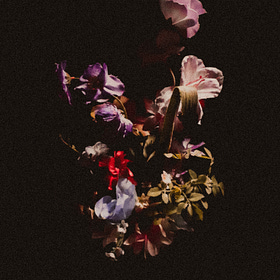 Grief, Briefly