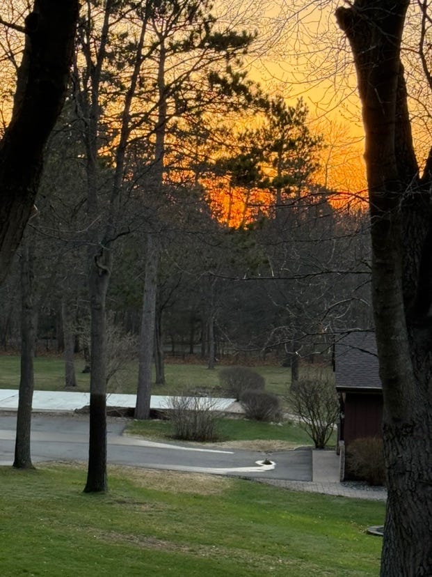 A sunset in the distance

AI-generated content may be incorrect.