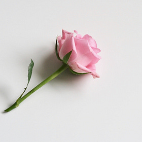 The Architecture of Intimacy | Part 1: Self-Love