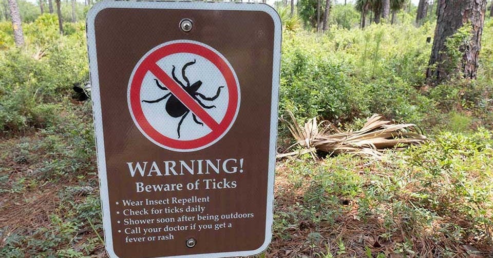 Let's Talk Ticks: An MGA Faculty Q&A With Dr. Tyler Achatz: Middle Georgia  State University