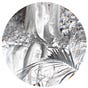 BIOfutures by Bioratorium®'s avatar