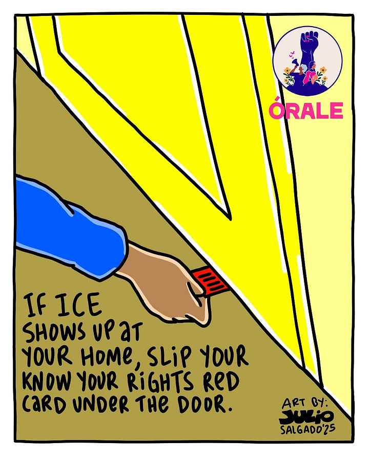 1) Cartoon showing two ICE agents in blue shirts confronting a brown woman in a yellow shirt with "I ❤️ LB" on it. Text: "If ICE approaches you on the street, you have the right to remain silent!" Tone: Informative, empowering. The woman is standing near a bus stop, and she is wearing pink pants, and has shoulder-length brown wavy hair. The sky is blue with one white cloud, and there are green and blue mountains in the back. Julio's signature and year are on the bottom, next to the woman's left leg. 2) Illustration of an ICE officer arresting a person with a bystander taking notes. Text reads: "If you see an ICE arrest in public, film or write down everything you witness." The ICE officer is wearing a blue shirt, grey pants, and black shoes. The person being arrested is a woman with her long way brown hair in a ponytail. She is wearing a blue hoodie with pink capris, and black and white sneakers. The person taking notes has long brown wavy hair, and she is wearing a teal shirt, with purple pants. The sky is orange, with a big yellow sun, and some white clouds. They are all standing on green grass. There is a logo for Orale in the bottom right corner, and Julio's signature and year is in the bottom left corner. 3) Illustration of a man in an ICE shirt holding a paper at a closed door. Text advises asking for a warrant without opening the door. Emphasizes caution. Text reads: 'If ICE shows up at your door: always ask to see a valid warrant without opening your door.". The ICE officer is wearing a blue shirt and grey pants, and the person inside has shoulder-length red/brown curly hair, and is wearing a purple shirt. The door is yellow, the background color is tan, and the Orale logo is in the bottom left corner. 4) Illustration of a hand slipping a red card under a yellow door, with text advising on rights if ICE visits. Emblem of a raised fist and flowers labeled "Órale" in the top right corner. Text reads: 'If ICE shows up at your home, slip your know your rights red card under the door." Julio's signature and year is in the bottom right corner. The door and wall are yellow, the floor is tan/green, and the brown person sliding the card is wearing a long-sleeve blue shirt.