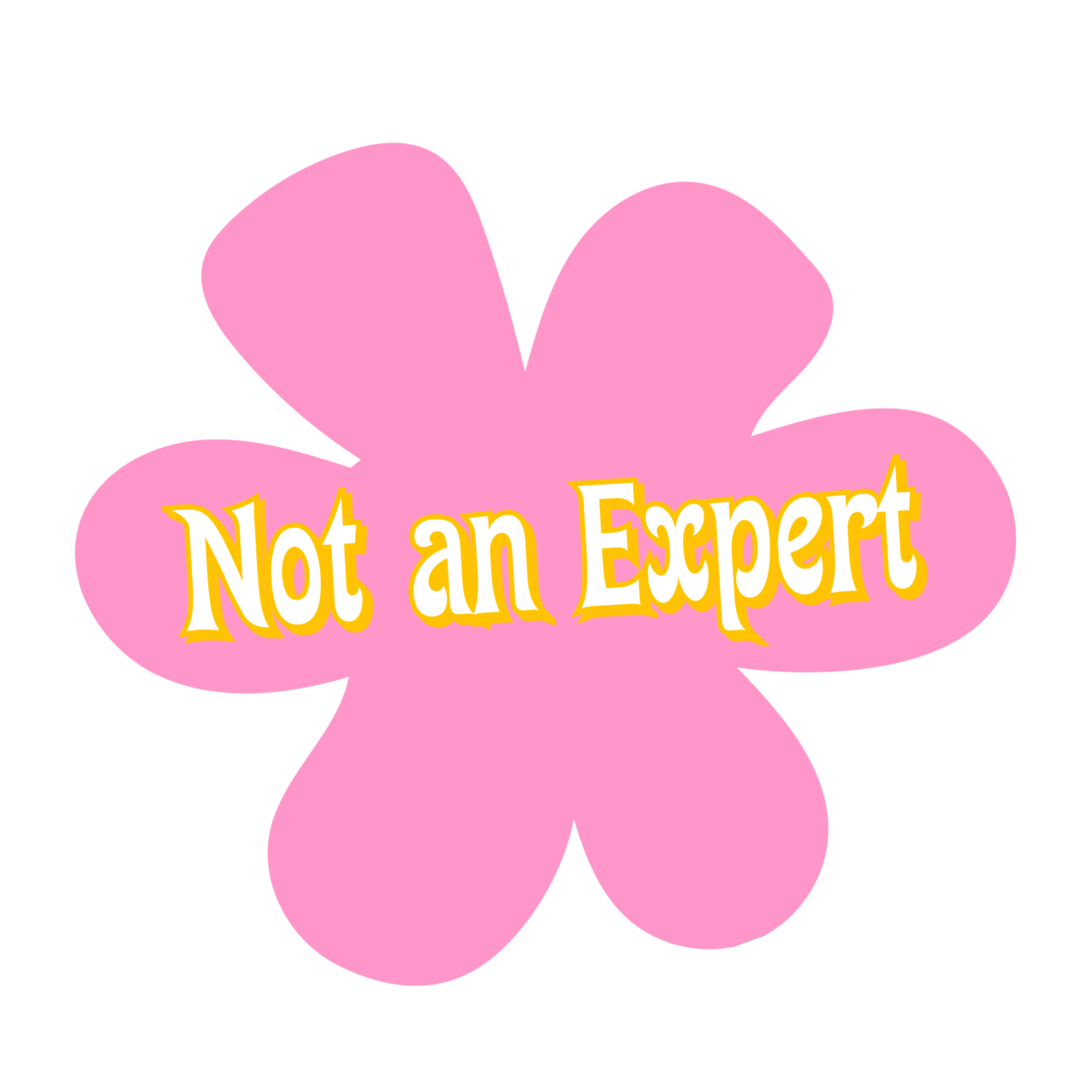 Not an Expert