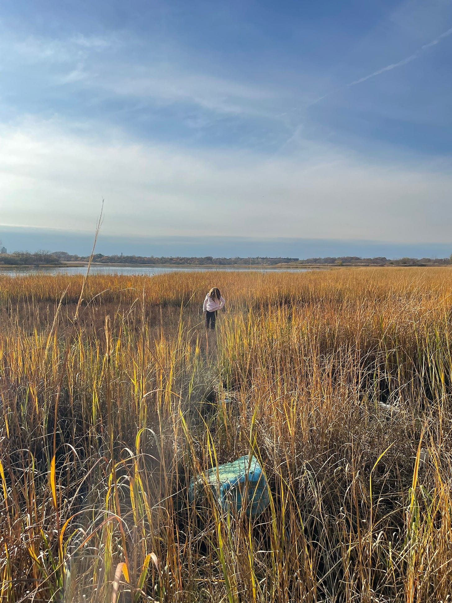 marine park salt marsh little girl exploring