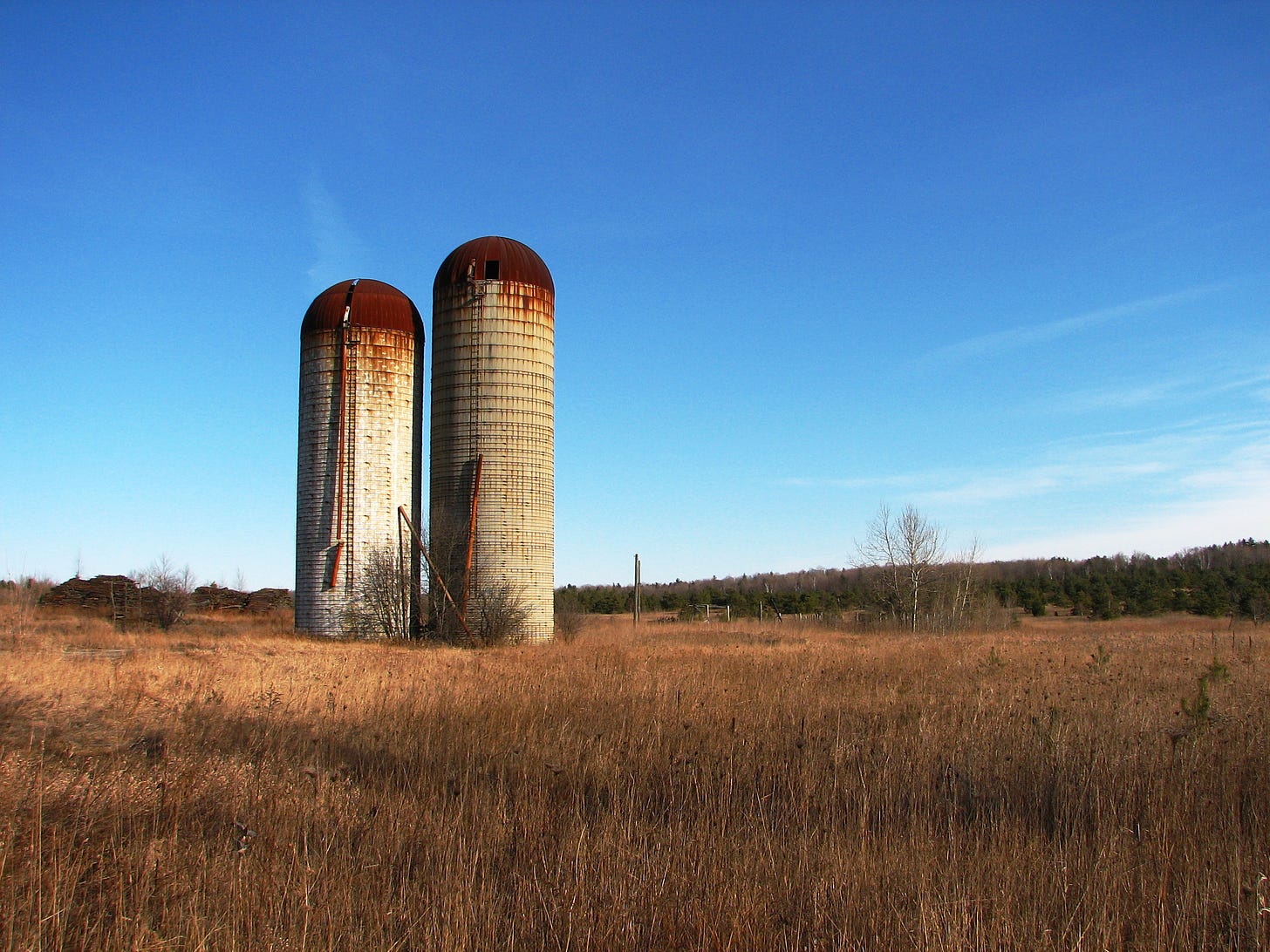 Photo of two silos, disconnected, enclosed, standing in a dry field.