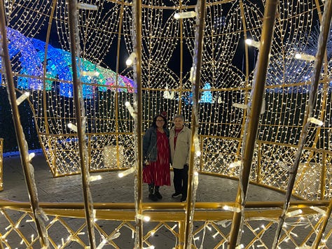 Images of various people smiling for the camera; image of a dog laying down; images of Christmas lights