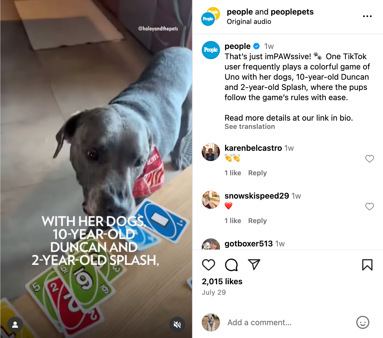 People video screenshot of dog playing Uno card game