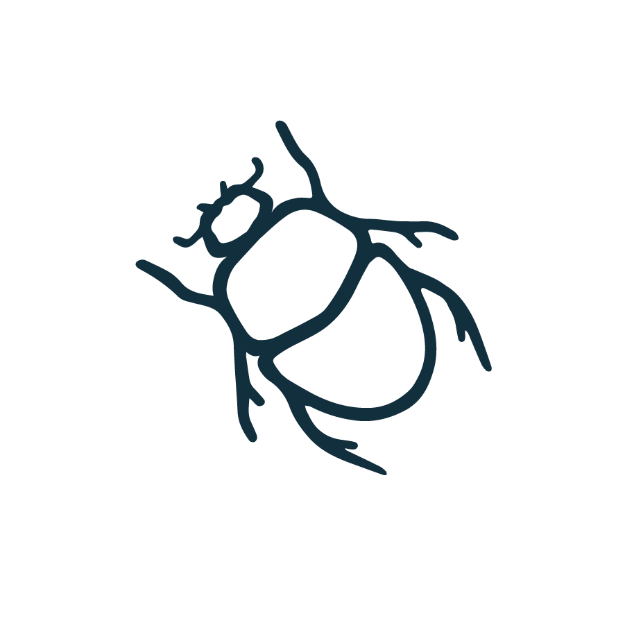 Urban American Farmer