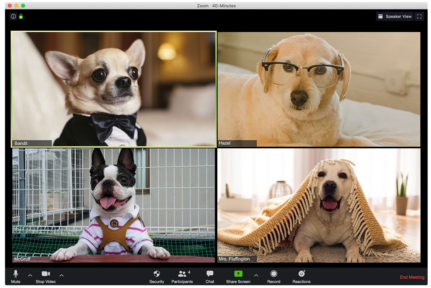 Humorous Zoom call with dogs dressed in business attire—highlighting the importance of posture and presence, even in virtual meetings. Humorous Zoom call with dogs dressed in business attire—highlighting the importance of posture and presence, even in virtual meetings.