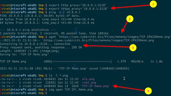 Use wget Command To Download Files From HTTPS Domains - nixCraft