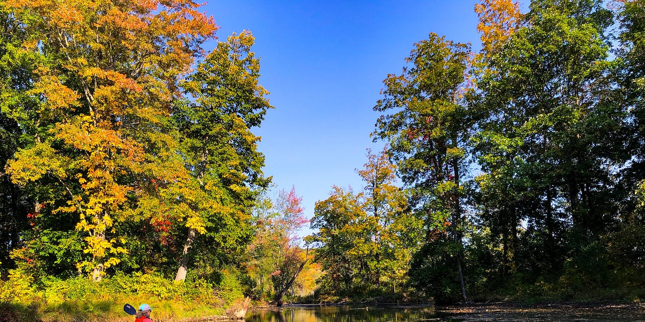 Perspectives from a canoe: a season of changes in many ways 