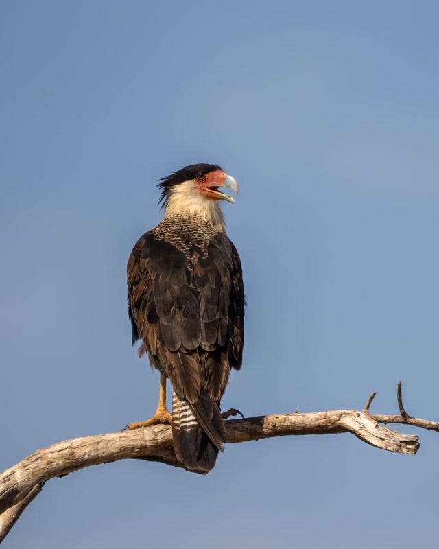 20250818-ElRio-55-Edit.jpg 20250818-ElRio-55-Edit.jpg