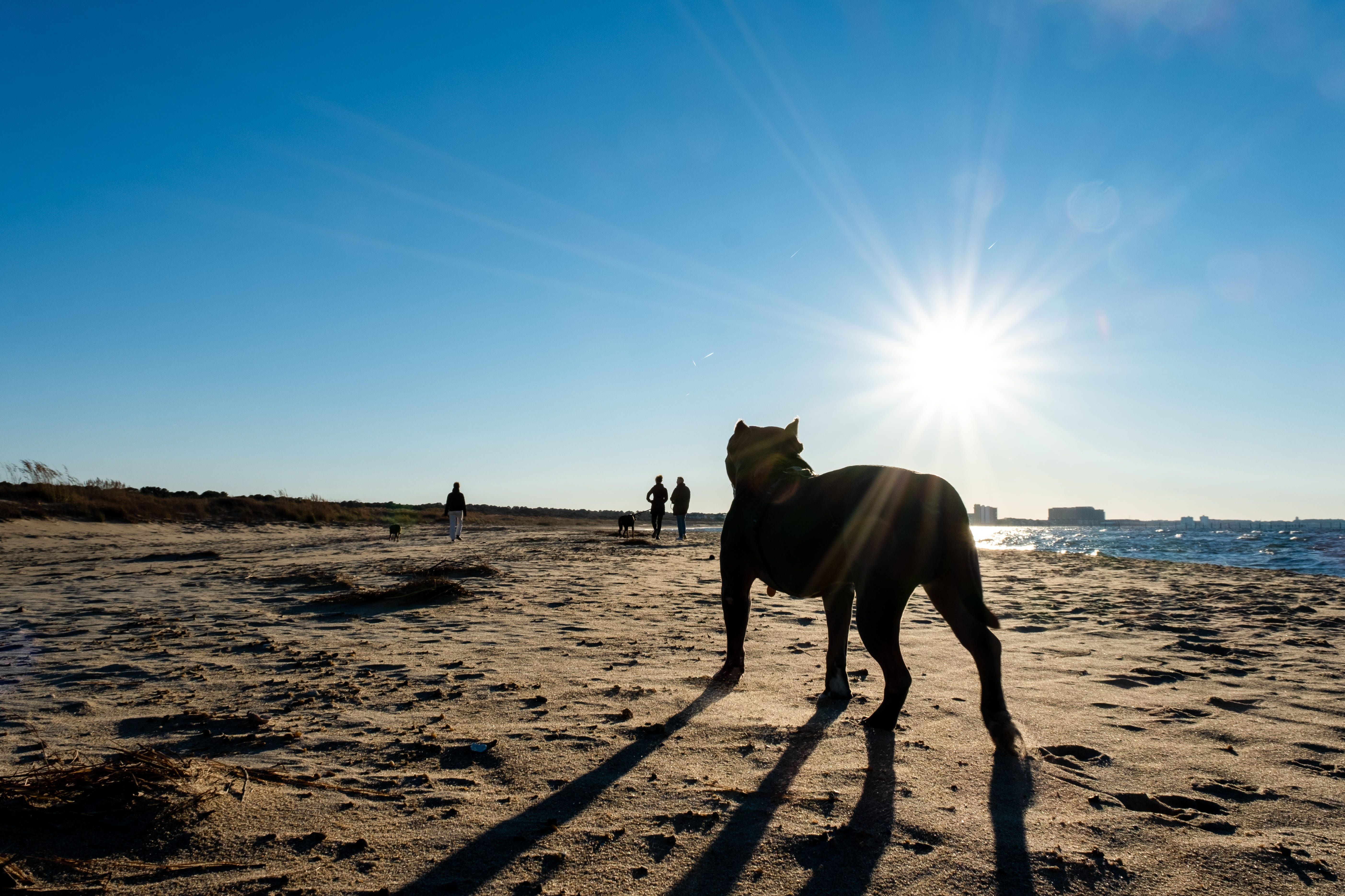 Amati Photography Newsletter