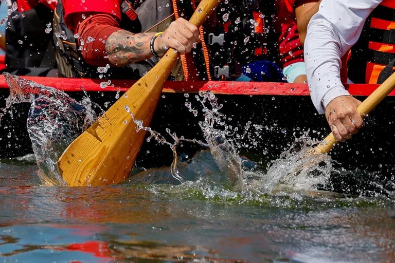 Paddles put up splashes in the water as a canoe from the Snoqualmie tribe comes into the beach.  (Jennifer Buchanan / The Seattle Times)