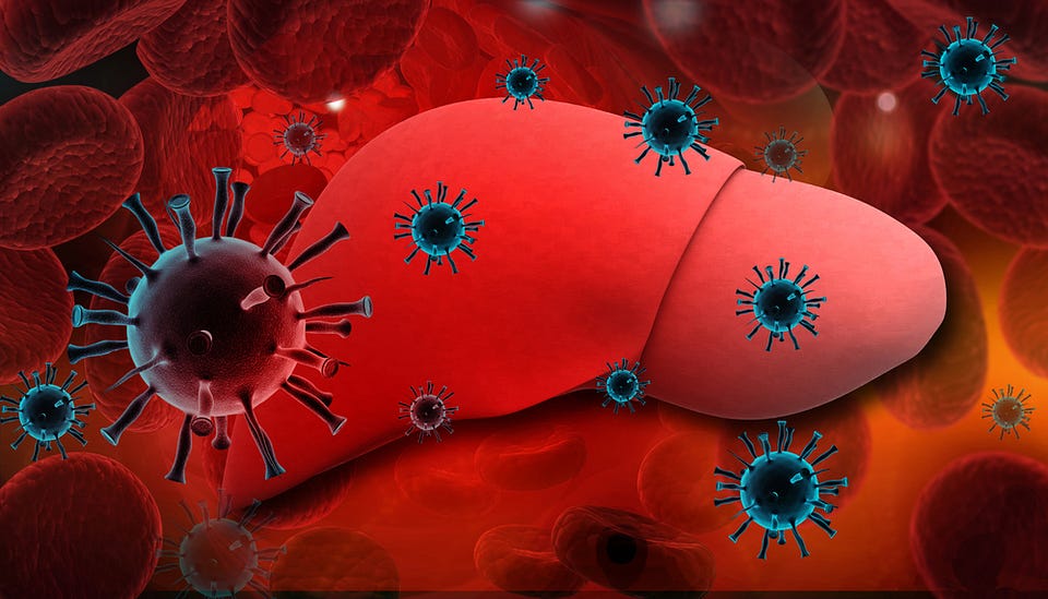 A Basic Guide to Understanding Hepatitis C | PHC