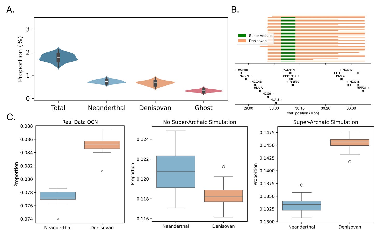 The green band in panel B is super-archaic ancestry, and it sits inside a stretch of Denisovan DNA, on chromosome 6 in the immune-related MHC region. That positioning is the evidence that this very old lineage reached modern humans through Denisovans rather than directly. From Zhang et al., Science, 2026. The green band in panel B is super-archaic ancestry, and it sits inside a stretch of Denisovan DNA, on chromosome 6 in the immune-related MHC region. That positioning is the evidence that this very old lineage reached modern humans through Denisovans rather than directly. From Zhang et al., Science, 2026.