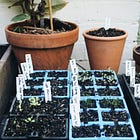 Get your garden started | Part 2: the right tools