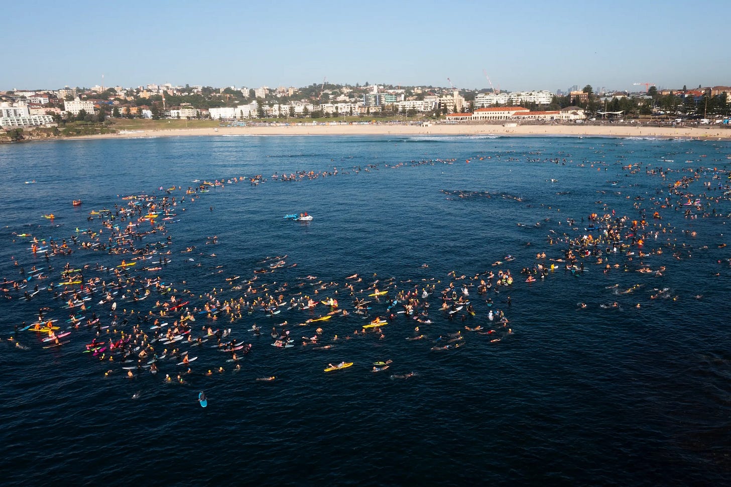 May be an image of swimming, crowd and ocean
