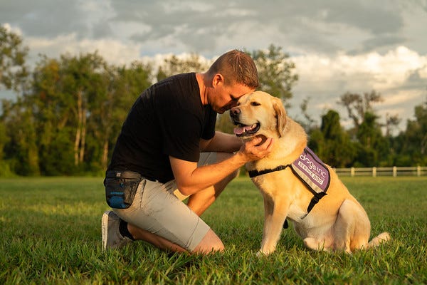 More Than Guide Dogs: Who Dogs Inc Serves and How to Apply