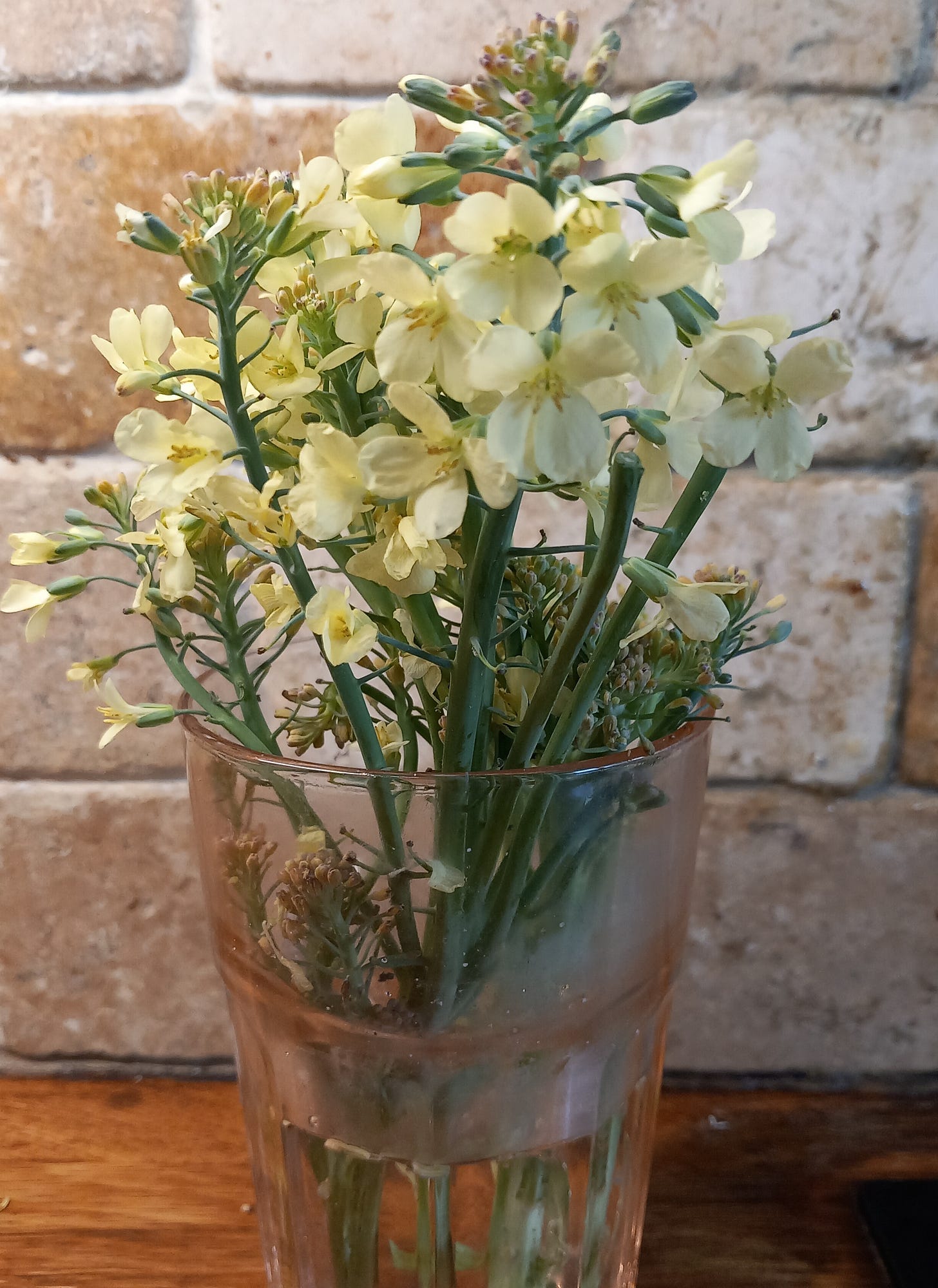 broccoli flowers in a tumbler glass