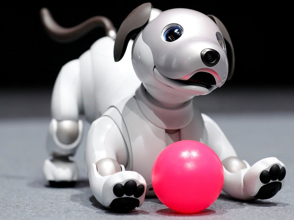 Sony Unleashes New Aibo Robot Dog - IEEE Spectrum Sony Unleashes New Aibo Robot Dog - IEEE Spectrum