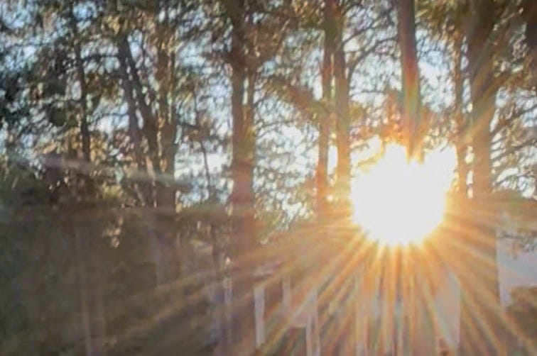 Image of the sun's rays peering through the trees Image of the sun's rays peering through the trees