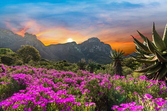 Kristernbosch Botanical Gardens and Cape Winelands Full Day Tour