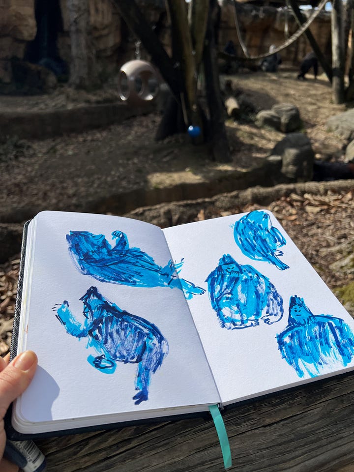 Beth Spencer drawing gorillas at Memphis Zoo