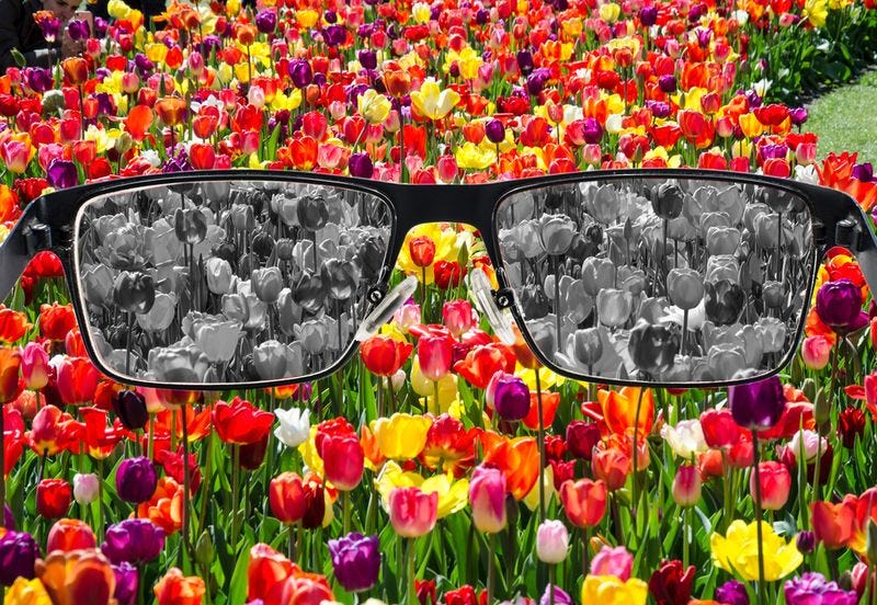 Magic mushrooms color blindness