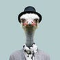 Roye Segal's avatar