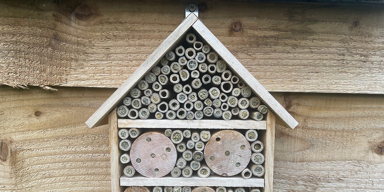The bug hotels are open.