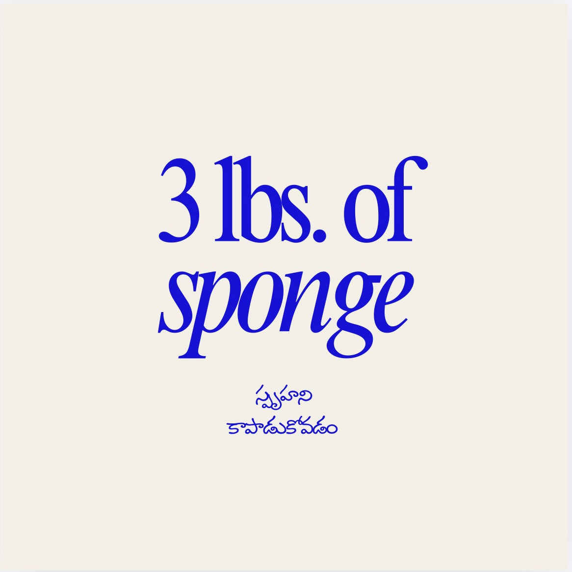 Three Pounds of Sponge | spruhahni kapadukovattam