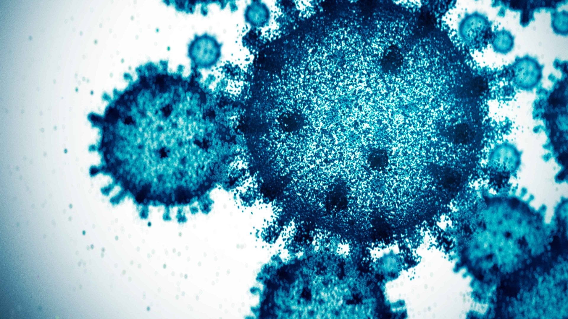 The ‘super flu’ that wasn’t - The New World