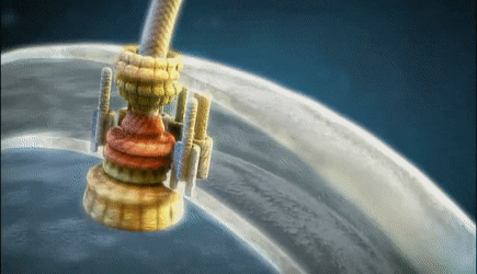 Irreducible Complexity? The Bacterial Flagellum GIF | Gfycat