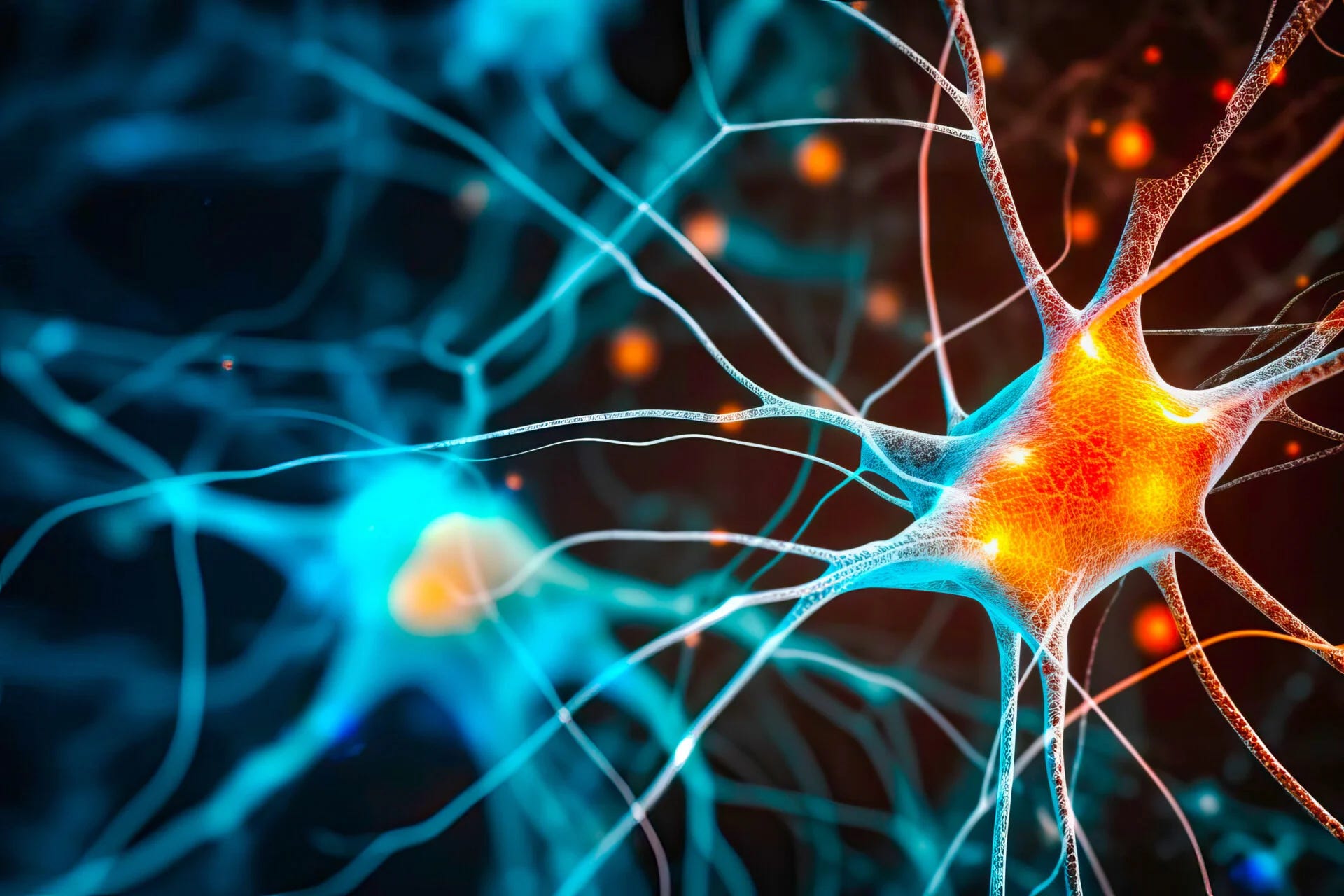 Default Mode Network, Winter Flow, And What We’re Practicing | February Feature