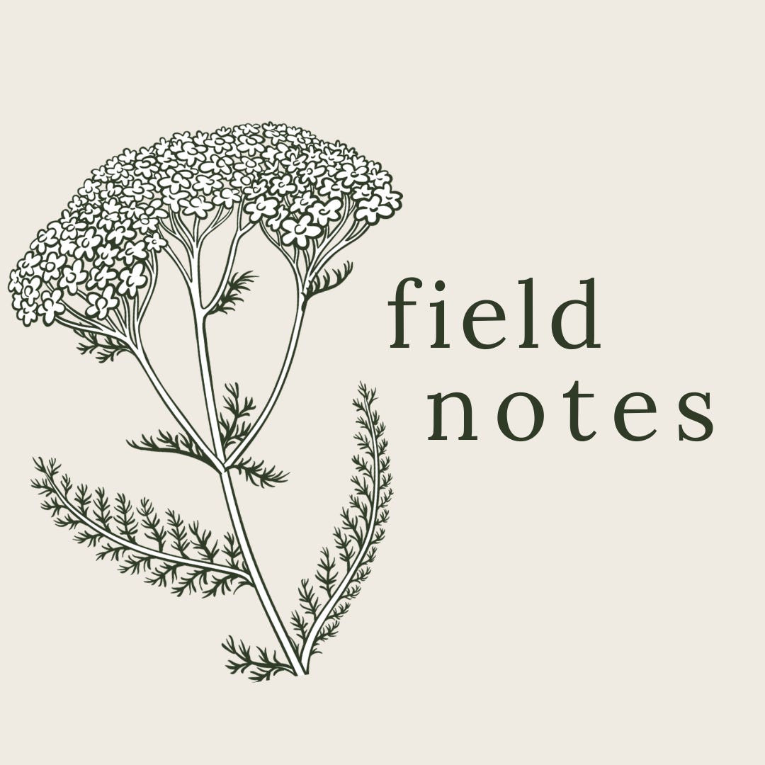 Field Notes