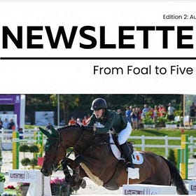 NIHB newsletter: From foal to five star