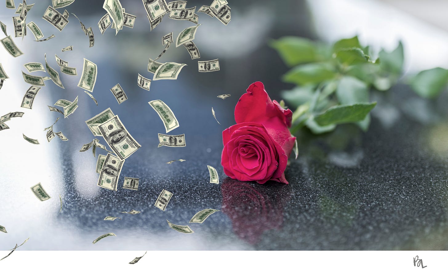 rose on a casket with money floating in the air