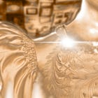 The Bride of Haven's Hollow (Episode 1)