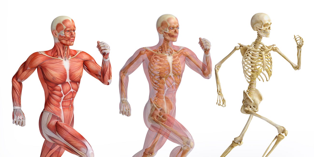 How to Design a Workout Program, Part 1: The Components